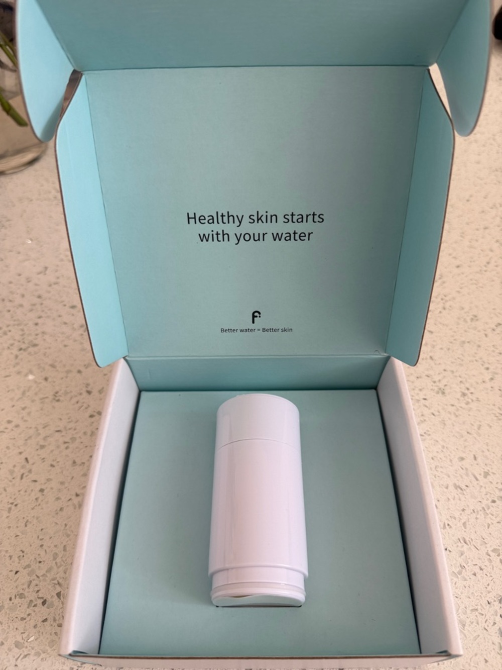 Filterbaby PRODermis Replacement Filter